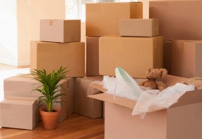  Service Provider of 24 Hours Packers & Movers New Delhi Delhi 